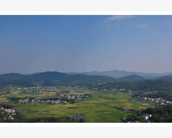 着凉了吃什么好——养生食谱与中医调理