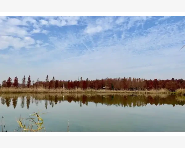 中医调理失眠，让你舒享美梦