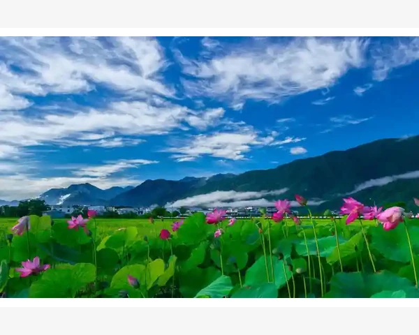 化疗后如何营养充足,让身体重新康复